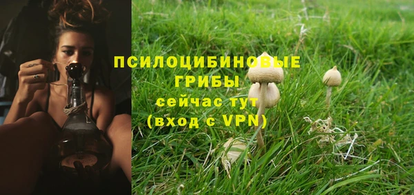 дживик Алексеевка
