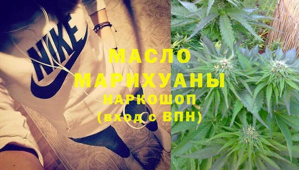 гидра Абаза