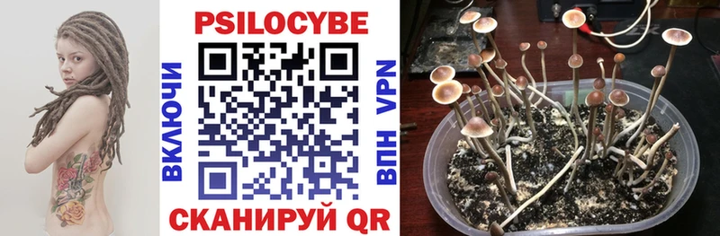 Псилоцибиновые грибы ЛСД  Агрыз 